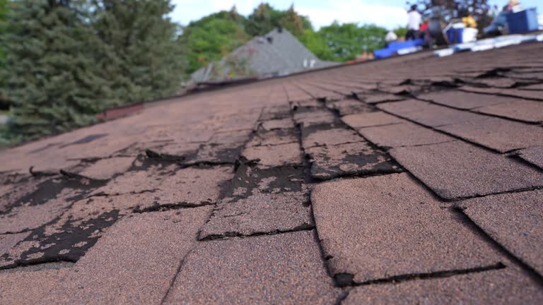 Roof Coating Services in Kingman, AZ